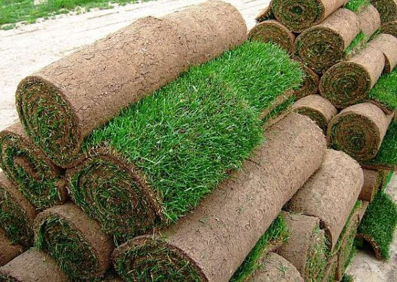 Газоны